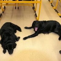 Cesta byla plná nebezpečí – nestabilní prostředí i služebníci Nicoty se snažili hrdiny zastavit.